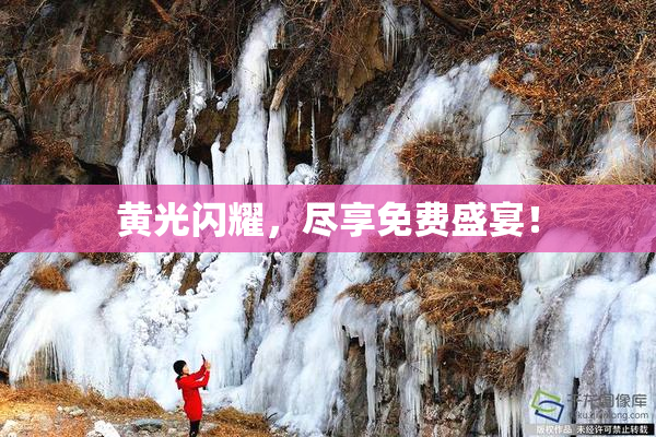 黄光闪耀，尽享免费盛宴！