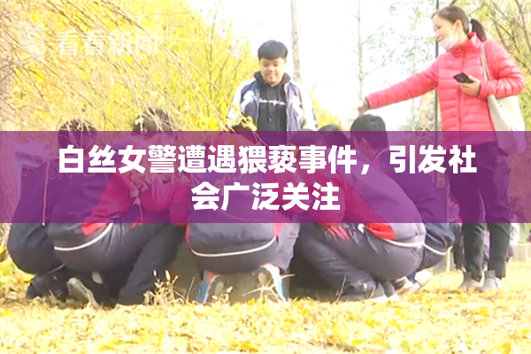 白丝女警遭遇猥亵事件，引发社会广泛关注