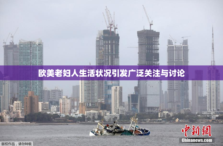 欧美老妇人生活状况引发广泛关注与讨论