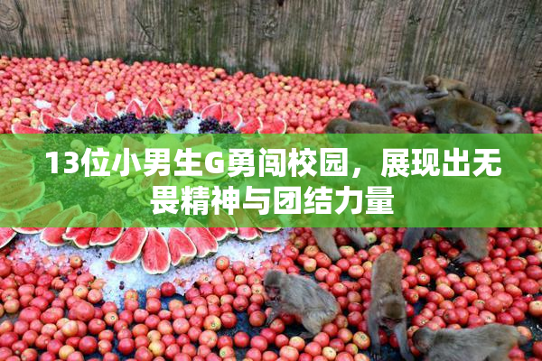 13位小男生G勇闯校园，展现出无畏精神与团结力量
