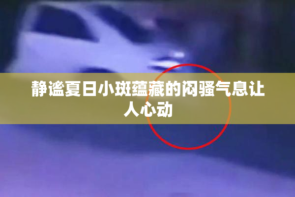 静谧夏日小斑蕴藏的闷骚气息让人心动