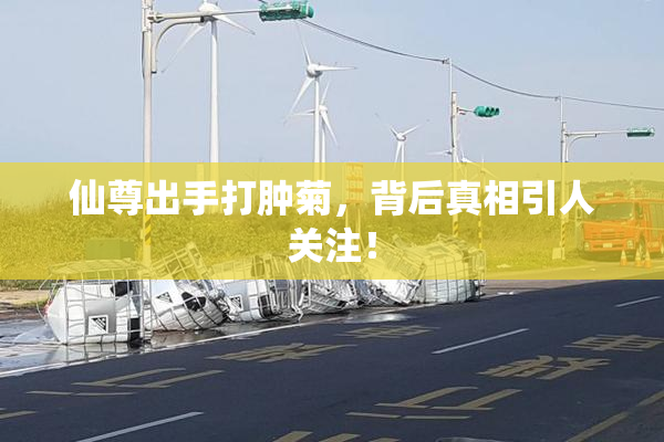 仙尊出手打肿菊，背后真相引人关注！