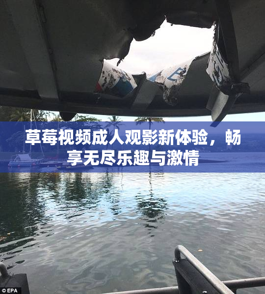 草莓视频成人观影新体验，畅享无尽乐趣与激情
