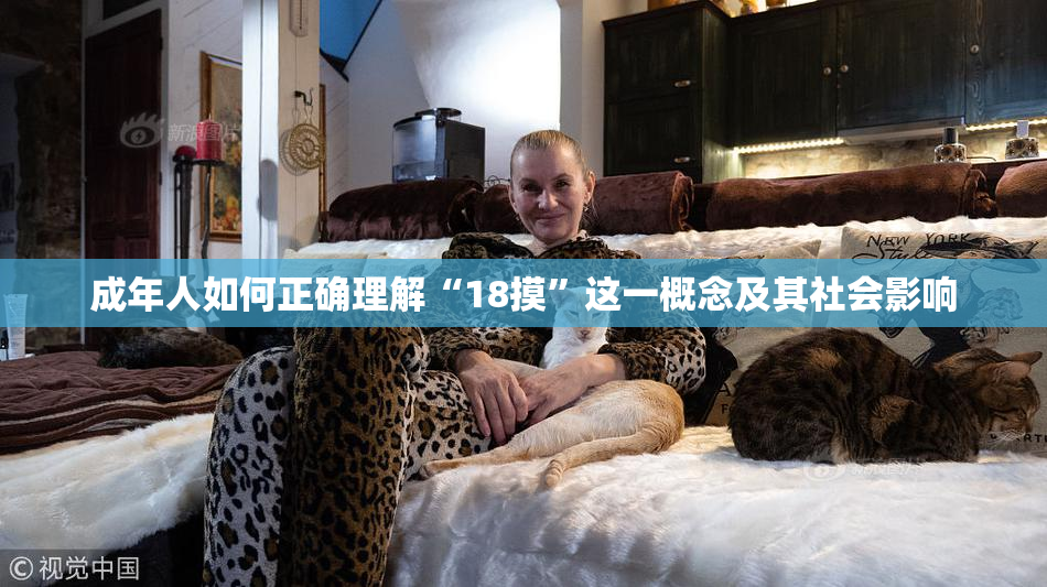 成年人如何正确理解“18摸”这一概念及其社会影响