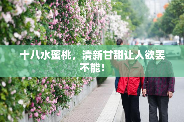 十八水蜜桃，清新甘甜让人欲罢不能！