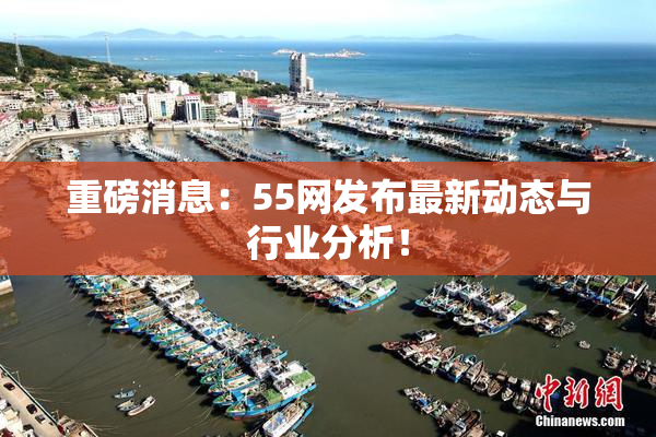 重磅消息：55网发布最新动态与行业分析！