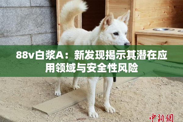 88v白浆A：新发现揭示其潜在应用领域与安全性风险
