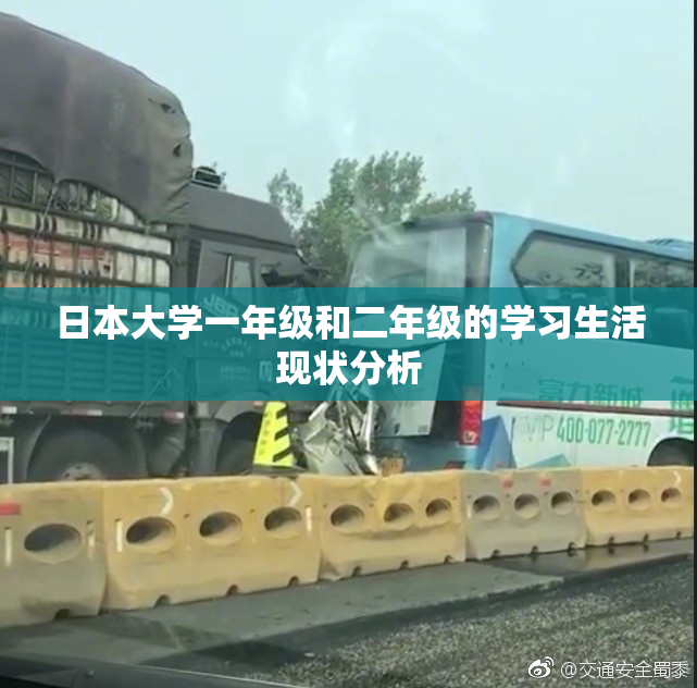 日本大学一年级和二年级的学习生活现状分析