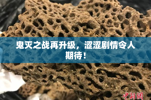 鬼灭之战再升级，涩涩剧情令人期待！
