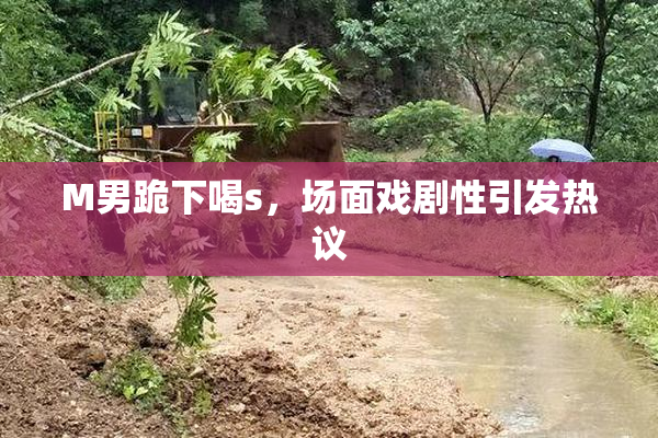 M男跪下喝s，场面戏剧性引发热议