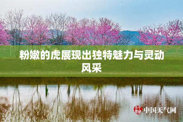 粉嫩的虎展现出独特魅力与灵动风采