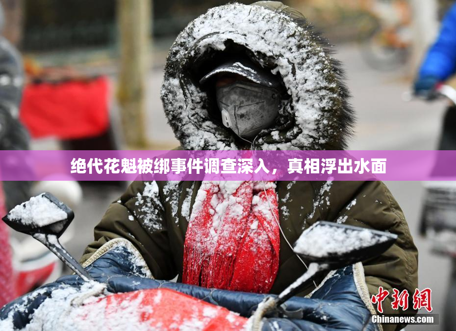 绝代花魁被绑事件调查深入，真相浮出水面