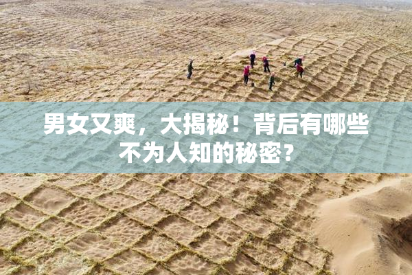 男女又爽，大揭秘！背后有哪些不为人知的秘密？