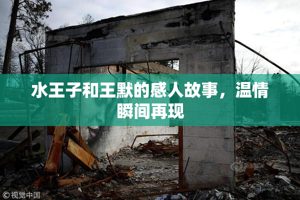 水王子和王默的感人故事，温情瞬间再现