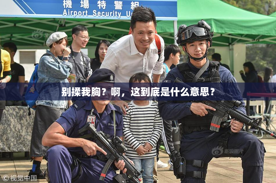 别揉我胸？啊，这到底是什么意思？