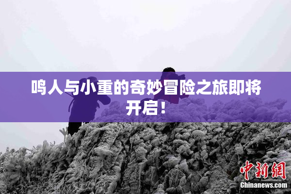 鸣人与小重的奇妙冒险之旅即将开启！