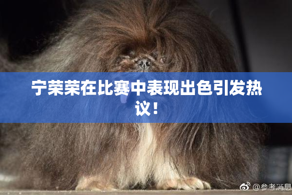 宁荣荣在比赛中表现出色引发热议！