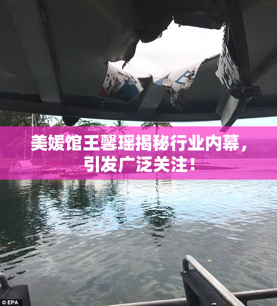 美媛馆王馨瑶揭秘行业内幕，引发广泛关注！