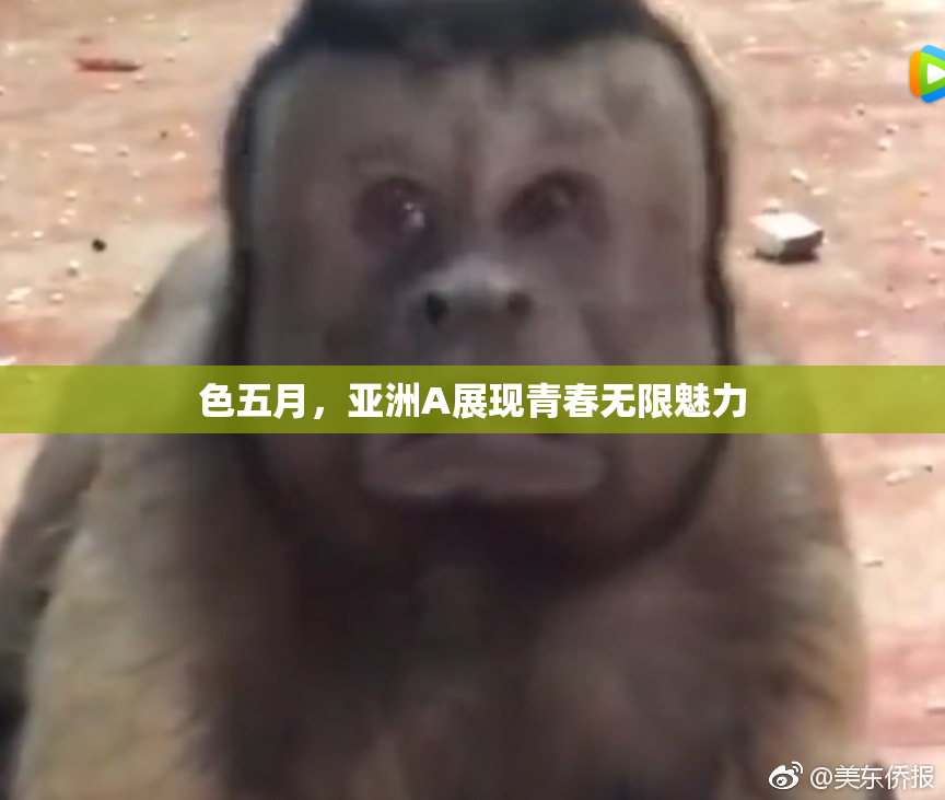 色五月，亚洲A展现青春无限魅力