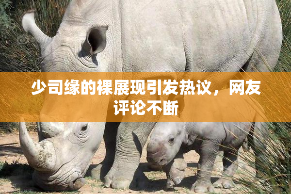 少司缘的裸展现引发热议，网友评论不断