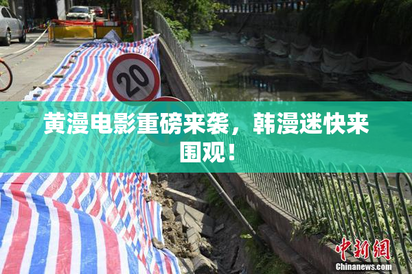 黄漫电影重磅来袭，韩漫迷快来围观！