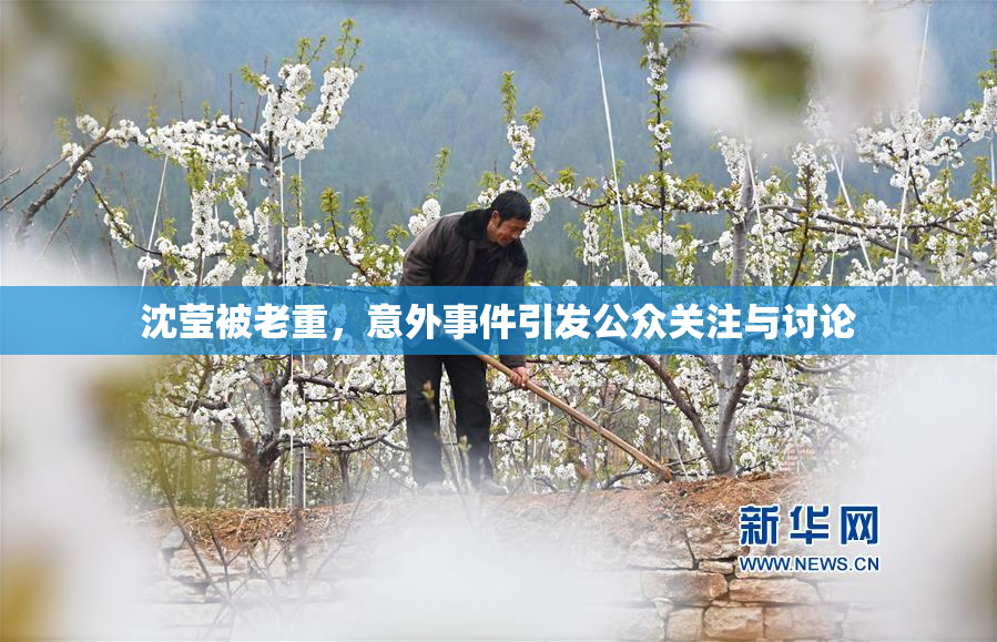 沈莹被老重，意外事件引发公众关注与讨论