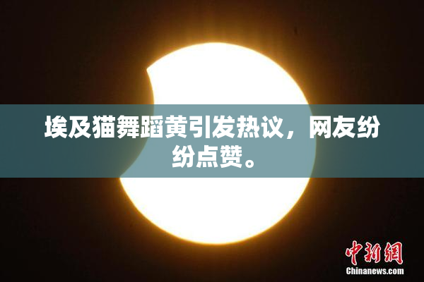 埃及猫舞蹈黄引发热议，网友纷纷点赞。