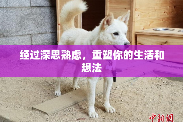 经过深思熟虑，重塑你的生活和想法