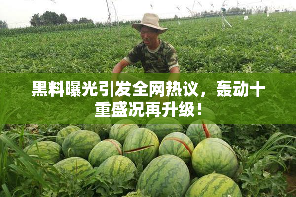 黑料曝光引发全网热议，轰动十重盛况再升级！