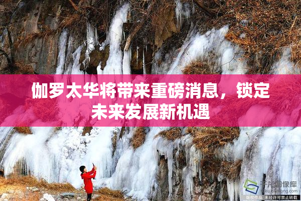 伽罗太华将带来重磅消息，锁定未来发展新机遇