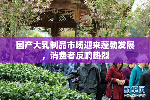 国产大乳制品市场迎来蓬勃发展，消费者反响热烈