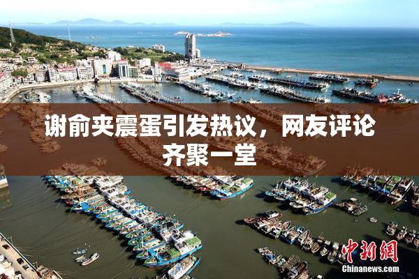 谢俞夹震蛋引发热议，网友评论齐聚一堂
