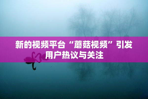 新的视频平台“蘑菇视频”引发用户热议与关注