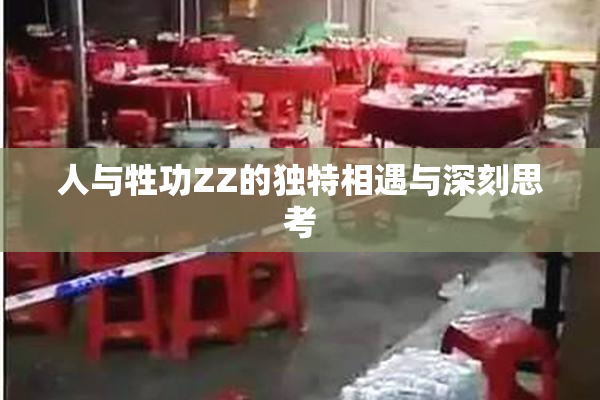 人与牲功ZZ的独特相遇与深刻思考