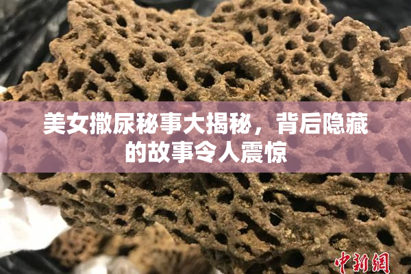 美女撒尿秘事大揭秘，背后隐藏的故事令人震惊