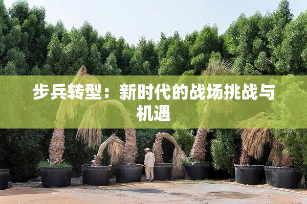 步兵转型：新时代的战场挑战与机遇