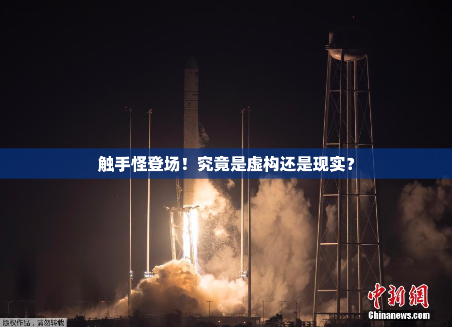 触手怪登场！究竟是虚构还是现实？