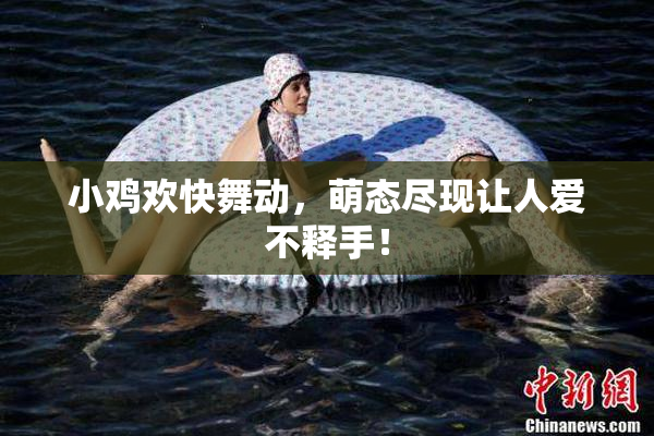 小鸡欢快舞动，萌态尽现让人爱不释手！