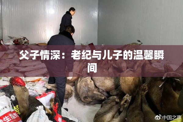 父子情深：老纪与儿子的温馨瞬间