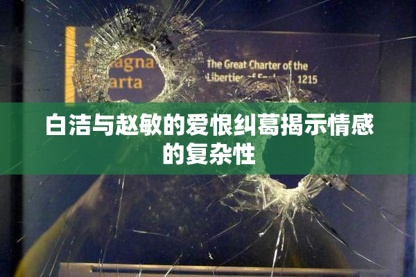 白洁与赵敏的爱恨纠葛揭示情感的复杂性