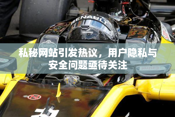 私秘网站引发热议，用户隐私与安全问题亟待关注