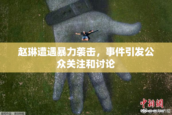 赵琳遭遇暴力袭击，事件引发公众关注和讨论