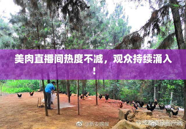 美肉直播间热度不减，观众持续涌入！