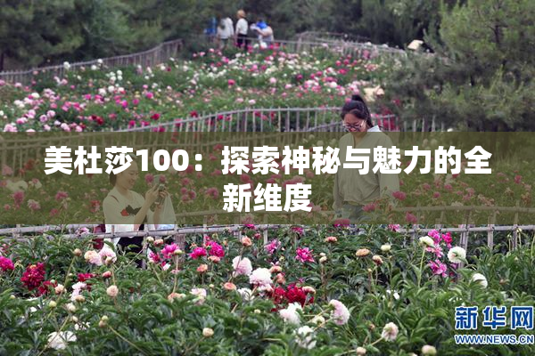 美杜莎100：探索神秘与魅力的全新维度