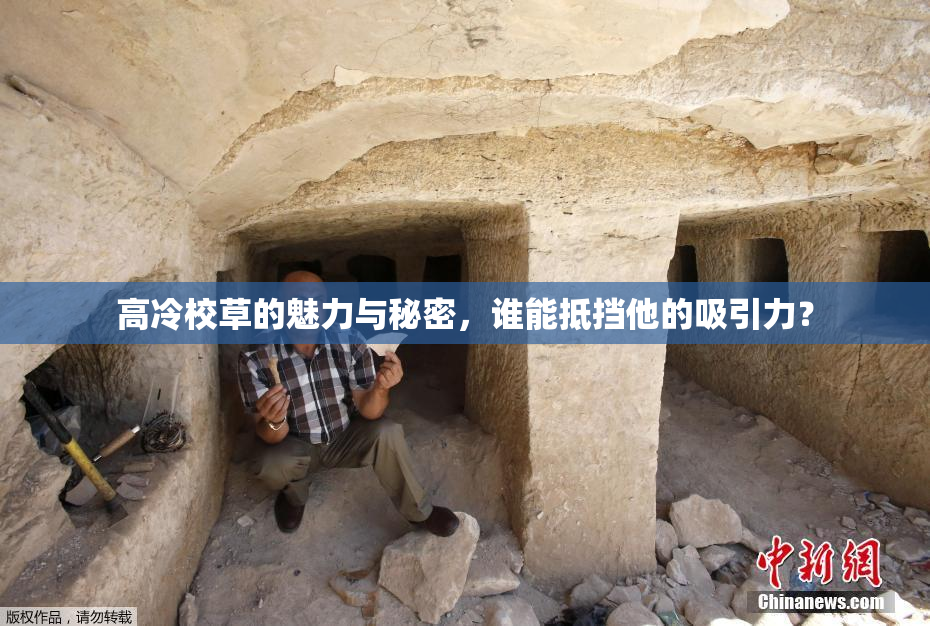 高冷校草的魅力与秘密，谁能抵挡他的吸引力？