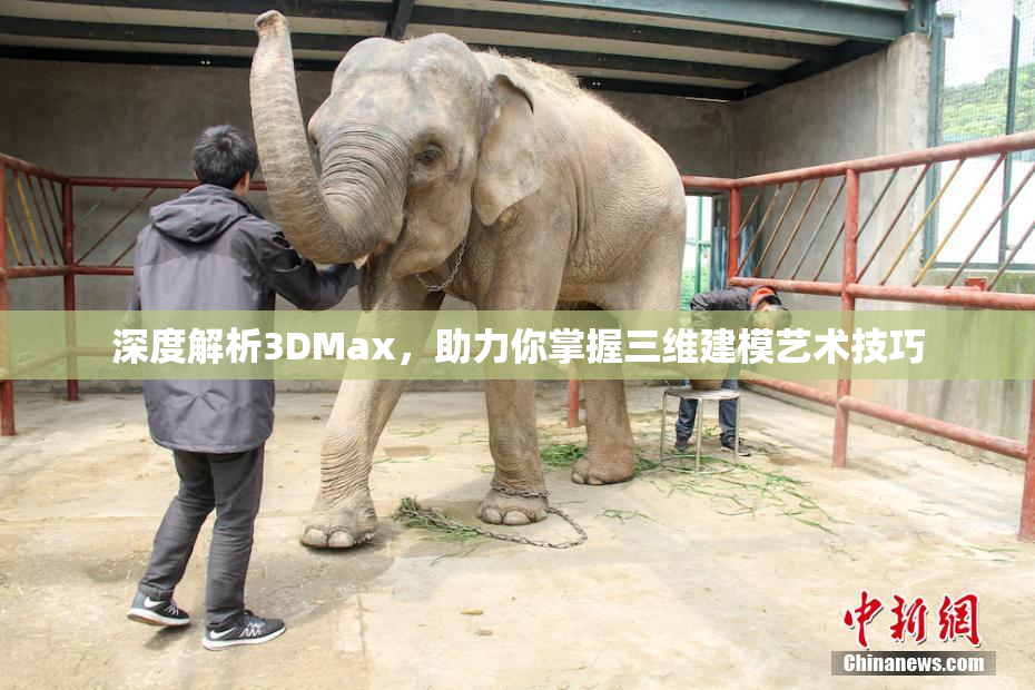 深度解析3DMax，助力你掌握三维建模艺术技巧