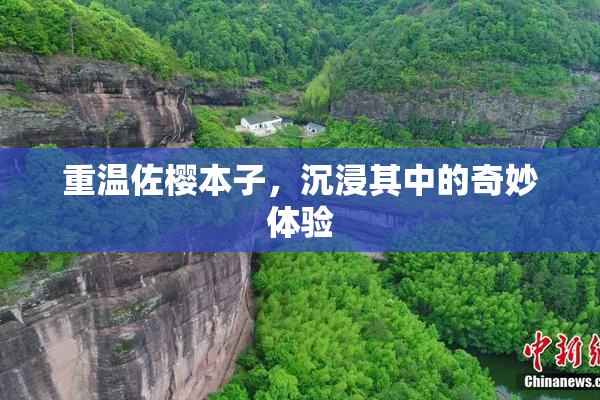 重温佐樱本子，沉浸其中的奇妙体验