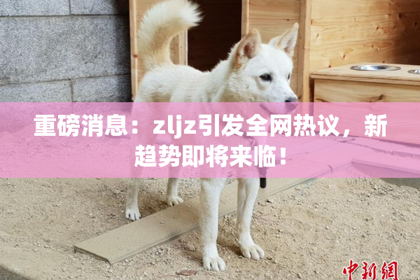重磅消息：zljz引发全网热议，新趋势即将来临！