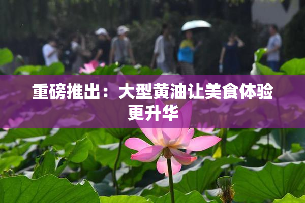 重磅推出：大型黄油让美食体验更升华