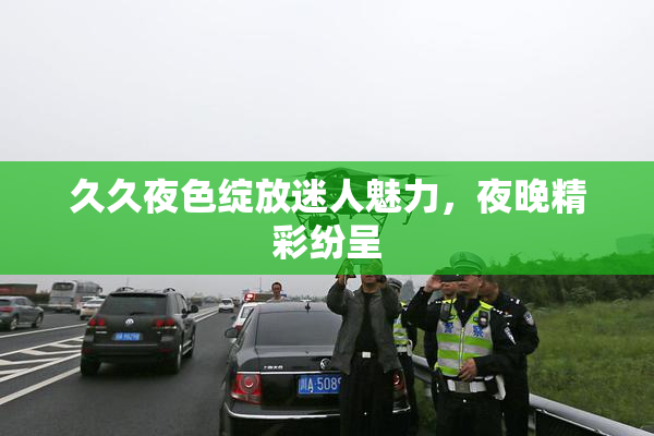 久久夜色绽放迷人魅力，夜晚精彩纷呈